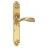 Ручка межкомнатная ARCHIE GENESIS FLOR S.GOLD (PS)